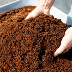 ELS Instruments Eco-Friendly Coconut <b>Coir</b> <b>Block</b> High Water Retention Organic Potting Mix for Garden Use - Product Image 6