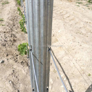 2024 vigneto zincato a caldo Post vendita diretta della fabbrica vigneto metallo Post - Product Image 2