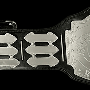 เข็มขัดแชมป์แบบกำหนดเอง แผ่นโลหะสีเงิน หนังแท้ สำหรับมวย MMA มวยปล้ำ - Product Image 5
