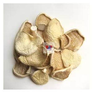 เห็ดนางรมอบแห้งมาตรฐานส่งออกจากเวียดนามข้อเสนอสุดพิเศษ - Product Image 3