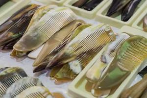 Peine de barba de cuerno de búfalo natural hecho a mano antiestático, tamaño de bolsillo, ecológico - Product Image 6