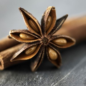 Anís en Grano Seco al por Mayor, Semillas de Anís Estrellado Secas a Precio Competitivo, Especias y Hierbas Más Vendidas - Product Image 6