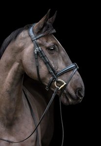 Ecolux BridleClassic In Hand Bridle Fabricants vendant en gros la bride de cheval en cuir véritable - Product Image 2