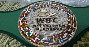 Cinturones de campeonato de boxeo Trofeos Medallas y premios el símbolo definitivo de la victoria y la excelencia Cinturones de Campeonato - Product Image 6