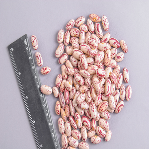 ถั่วแดงสดมีจุดเล็กๆแห้งและบรรจุจำนวนมากสำหรับใช้ในอาหาร - Product Image 6