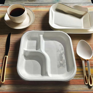 Assiettes en bagasse de canne à sucre, compatibles micro-ondes, étanches, durables et certifiées compostables pour les restaurants - Product Image 5