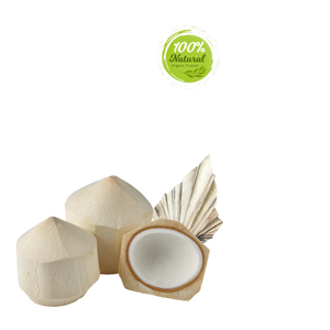 Produits agricoles à base de noix de coco au diamant Douceur naturelle pour la préservation de la santé - Product Image 5