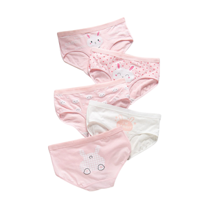 Calzoncillos de Algodón Estampados para Niños EVERGREEN Premium, Cómodos, Transpirables, de Secado Rápido, Ecológicos, Unisex para Bebés y Niños Pequeños, Suministro al por Mayor OEM - Product Image 1