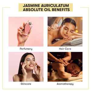 Huile Essentielle de Jasmin Auriculatum 100% Pure et Biologique, Hydratante, Éclaircissante, Nourrissante, Liquide, 1L, Commande Minimale - Product Image 4