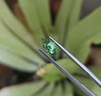 Escudo de pastilla de turmalina verde natural Forma elegante Piedra preciosa suelta verde facetada de Brasil Proveedor al por mayor joyería a precio de fábrica