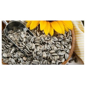 Graines de tournesol de la nouvelle récolte en gros, de Belgique, grillées / crues - Product Image 2