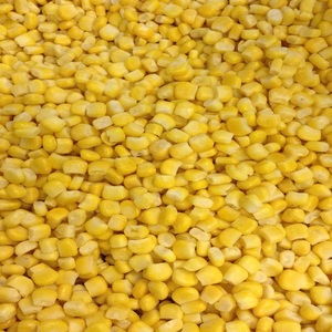 Iqf เมล็ดข้าวโพดหวานแช่แข็งผักแช่แข็งจำนวนมาก - Product Image 2