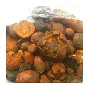 Cow Gall Stones / Ox Gallstones for Sale in Bulk