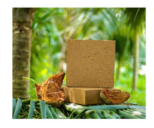 En tant que ressource organique et renouvelable, la tourbe de coco constitue une excellente alternative à la mousse de tourbe traditionnelle, contribuant - Product Image 1