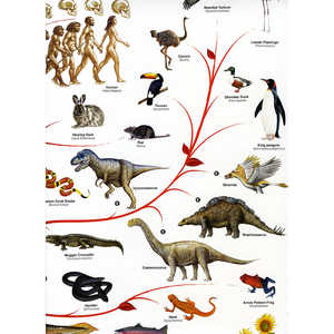 โปสเตอร์ต้นไม้แห่งชีวิตสไตล์โมเดิร์นสำหรับตกแต่งผนัง - Product Image 4