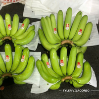 Vietnam Verse Cavendish Banaan-Verse Natuurlijke Zoete Smaak-Tyler
