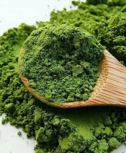 Export in the bulk moringa powder with good price and highquality from supplier Vietnam