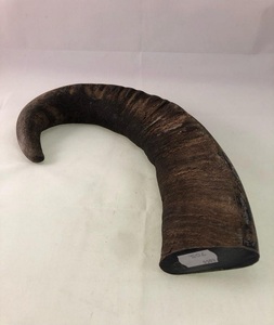 Cuerno de búfalo de buena calidad Punta blanca redonda Fabricante Calidad natural de cuerno de búfalo Puntas redondas Ágata para regalos y manualidades - Product Image 6