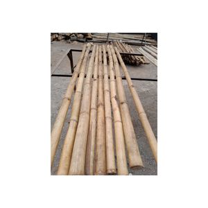 Tube de poteaux en bambou vietnamien pour projets de construction et d'aménagement paysager exportateur fort et droit par 99GD - Product Image 3