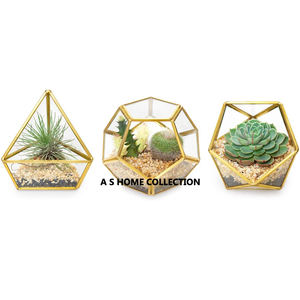 Material de latón y vidrio Forma única Marco dorado Terrario Vajilla de lujo Terrario interior Acento para el hogar - Product Image 5