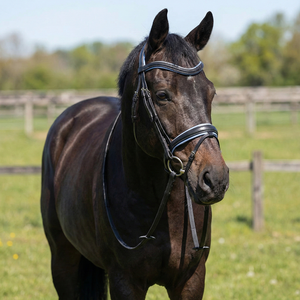 Cómoda Brida Inglesa de Cuero Negro para Caballo, Silla de Montar con Acolchado Azul Claro, Muserola Acolchada Suave, Modelo KZ-BL-602 A+ - Product Image 2