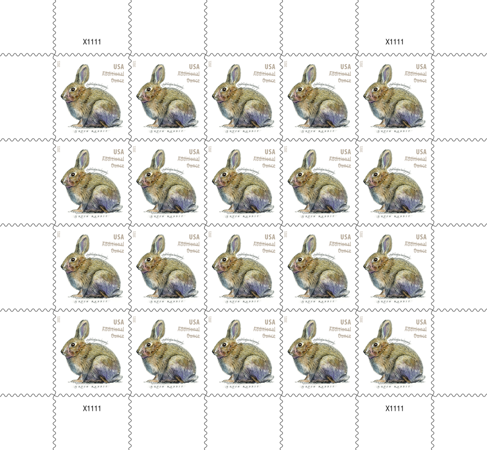 2021 Brush Rabbit 500374-I6-87-21LT