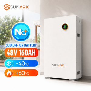 Batteria <span class=keywords><strong>al</strong></span> <span class=keywords><strong>Sodio</strong></span> Sunark 48V 160Ah 7.68kWh per Progetti di Accumulo Energetico Solare in Hotel e Resort, Sostenibile - Product Image 1