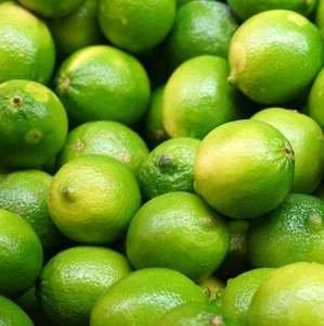Limones sin semillas frescos de alta calidad exportados a Vietnam - Product Image 4