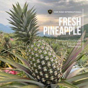 Ananas frais de qualité supérieure du Vietnam avec un Brix élevé, approvisionnement en vrac pour les importateurs - Product Image 1