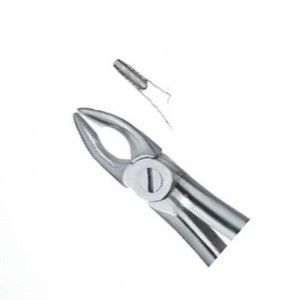 Forceps d'extraction de dents Fig34 Produits de logo personnalisé de vente à chaud Instruments dentaires en acier inoxydable de haute qualité - Product Image 3