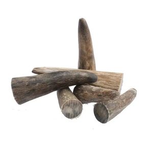 Vente en gros de pointes de corne de buffle naturelles de qualité supérieure, écologiques, style amour, forme artisanale, cadeau d'affaires, taille L SANIYA - Product Image 4