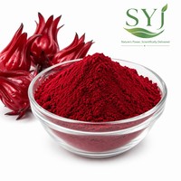 Poudre de thé instantané à l'hibiscus de qualité alimentaire, extrait naturel de fleur de roselle pour l'utilisation dans les aliments et les boissons
