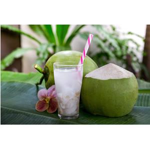 Noix de coco fraîches et jeunes de 12 à 15 cm, de qualité supérieure, cultivées au Vietnam, sucrées, mûres, semi-décortiquées, de qualité subtropicale - Product Image 3