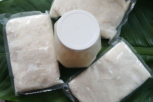 เยลลี่มะพร้าวอบแห้งอัดแท่ง ผลิตภัณฑ์ออร์แกนิกจากมะพร้าวแท้ 100% ราคาถูก - Product Image 3