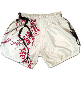 Pantalones Cortos de MMA para Hombre, de Alta Calidad, Cómodos, 100% Poliéster, Estilo Blue Eagle Sports, Peso de la Tela 220g, Tallas y Logotipo Personalizables - Product Image 2