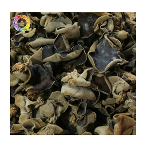 Champignon noir séché, Champignon noir le plus vendu Champignon d'oreille en bois naturel Champignon séché comestible pour l'approvisionnement alimentaire industriel - Product Image 4
