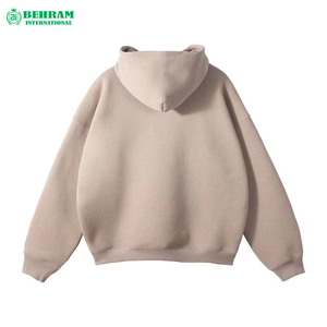 Sweat à capuche unisexe en coton 100% de qualité supérieure avec logo personnalisé, poids lourd GSM, sans cordons, vêtement décontracté, thermique pour l'hiver - Product Image 2
