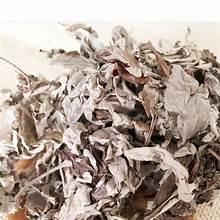 FEUILLES D'ARBUSTE SÉCHÉES DE HAUTE QUALITÉ POUR LA MÉDECINE TRADITIONNELLE SUPPORT D'INFUSION À BASE DE HERBES - Product Image 3