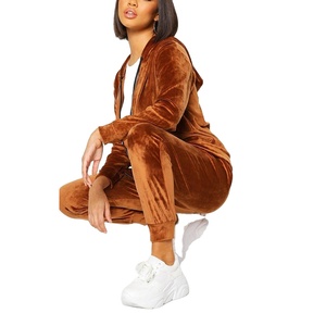 Conjunto de 2 piezas de chándal de terciopelo para mujer, sudaderas con cremallera de satén, chándal de terciopelo con capucha, Joggers para mujer - Product Image 1
