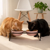 Station d'alimentation pour animaux de compagnie double bol, écologique, portable, étanche, grande capacité, 2 plats en céramique, support moderne transparent pour croquettes de chat et de chien