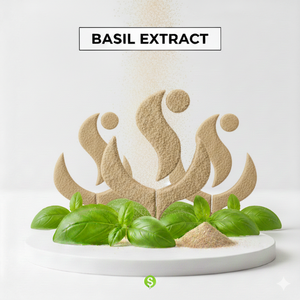 Poudre d'extrait sec de feuille de Tulsi pour une utilisation dans le bien-être naturel et la fabrication de produits botaniques - Product Image 1