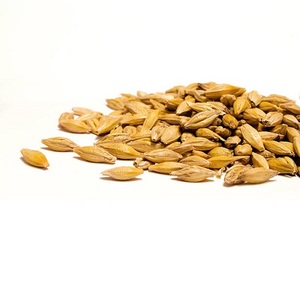 Granos de Cebada Congelados al 100% al por Mayor de Tailandia, Precio Económico, Buena Calidad - Product Image 2