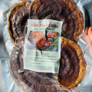 เห็ดหลินจืออบแห้งธรรมชาติ สำหรับบรรจุภัณฑ์ขายปลีกแบบ OEM และจัดจำหน่ายจำนวนมาก - Product Image 1
