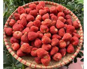 Fraises séchées tranchées de qualité supérieure du Vietnam pour les marques de collations et les garnitures de céréales Fraises séchées en vrac de 99GD - Product Image 2