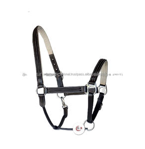 Alta calidad Durable acolchado cuero caballo Halter inglés sillín estilo ecuestre equipo cabeza Collar - Product Image 3