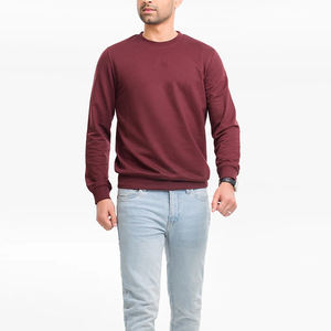 Vêtements d'hiver Offre Spéciale hommes Sweatshirts Casual Wear Hommes Sweatshirts Quick Dry Sweatshirts Pour Hommes de haute qualité - Product Image 1