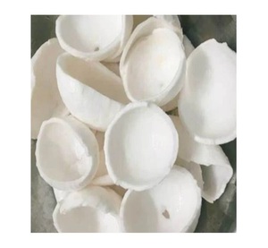 Frozen Coconut Meat Wholesale Bulk Export From Vietnam Coconut Chunks Ideal For Smoothies Desserts Beverages <b>Food</b> Processing - Product Image 1