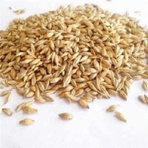 Alimento Premium <span class=keywords><strong>de</strong></span> <span class=keywords><strong>Cebada</strong></span> Malteada <span class=keywords><strong>Tostada</strong></span> para Caballos, Cerdos, Peces y Perros, Paquete <span class=keywords><strong>de</strong></span> 50 kg - Product Image 5