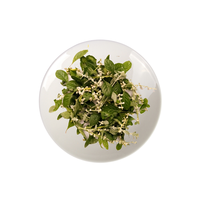 Polpala: Remède traditionnel à base de plantes, tonique de santé naturel, booster de bien-être botanique