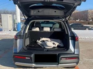 2025 B l D YOAN SUV AWD R18, Techo Panorámico Doble de Cuero y Litio, 6 Asientos, Portaequipajes de Aleación de Aluminio - Product Image 6